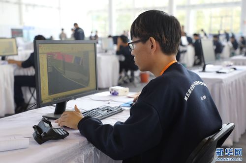 第五屆全國(guó)電子信息服務(wù)業(yè)職業(yè)技能競(jìng)賽在滄州圓滿舉行，聚焦信息技術(shù)咨詢服務(wù)